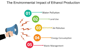 The impact of ethanol on the environment